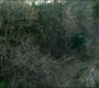 FalconWinter2_0347.jpg