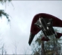 FalconWinter2_0348.jpg