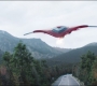 FalconWinter2_0461.jpg