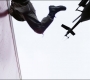 FalconWinter2_0478.jpg