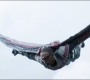 FalconWinter2_0508.jpg