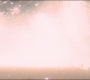 FalconWinter2_1165.jpg