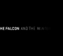 The_Falcon_and_the_Winter_Soldier_0146.jpg
