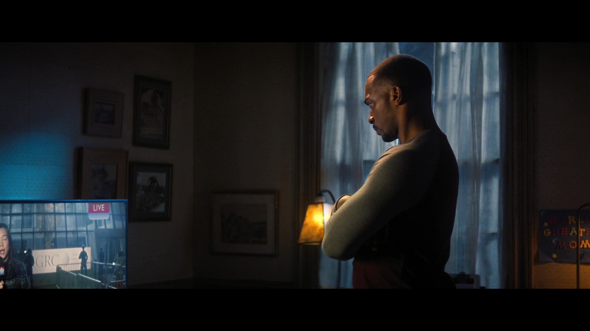 TheFalconWinterSoldier5_1449.jpg