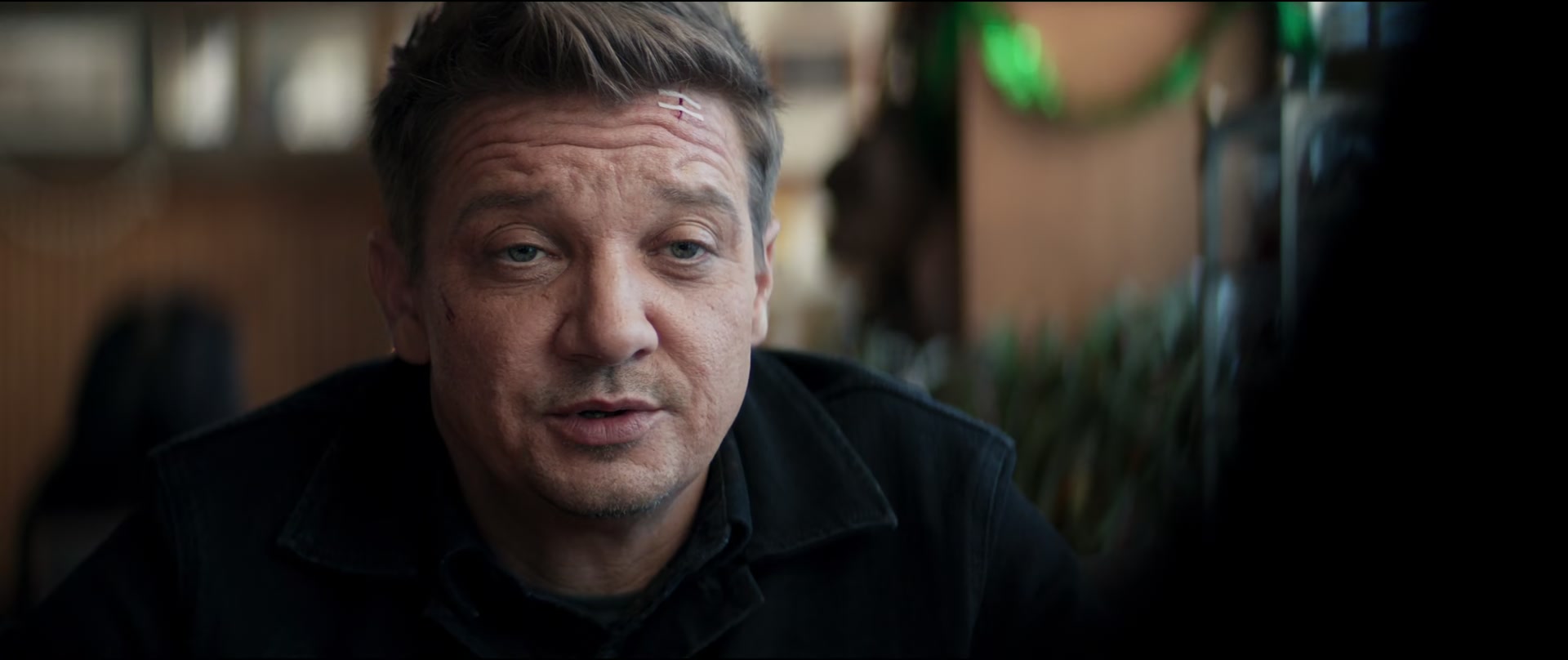 Hawkeye03_0929.jpg
