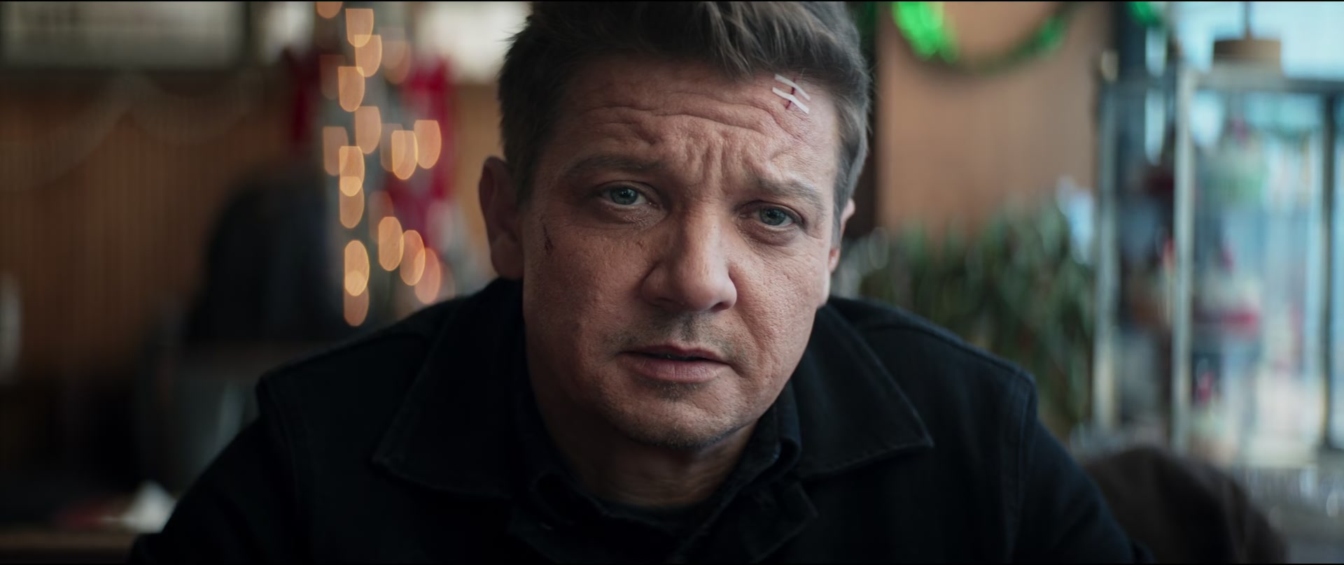 Hawkeye03_0939.jpg