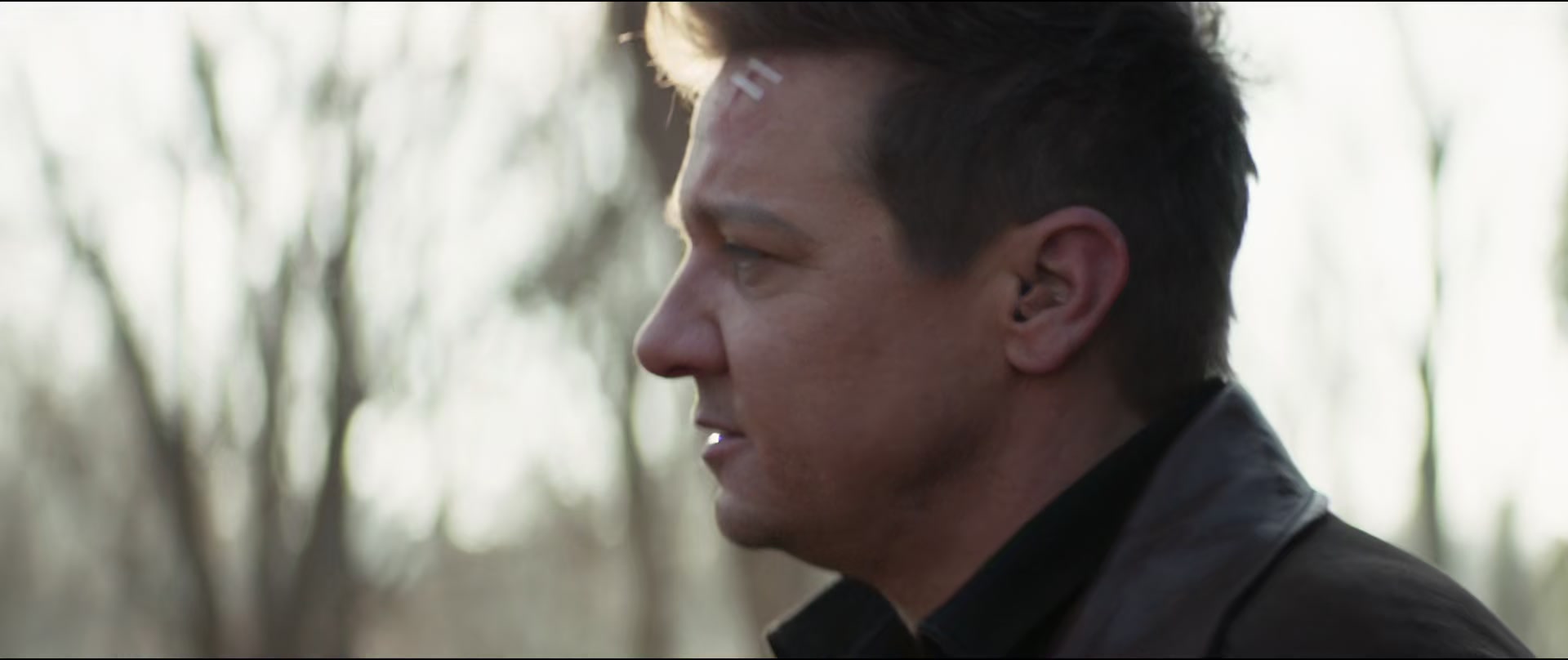 Hawkeye03_0986.jpg