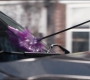 Hawkeye03_0533.jpg