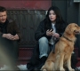Hawkeye03_0842.jpg