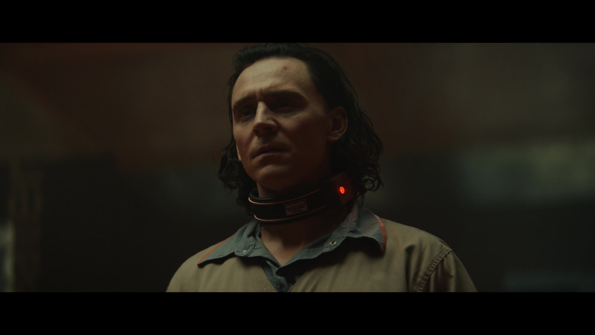 Loki101_0907.jpg