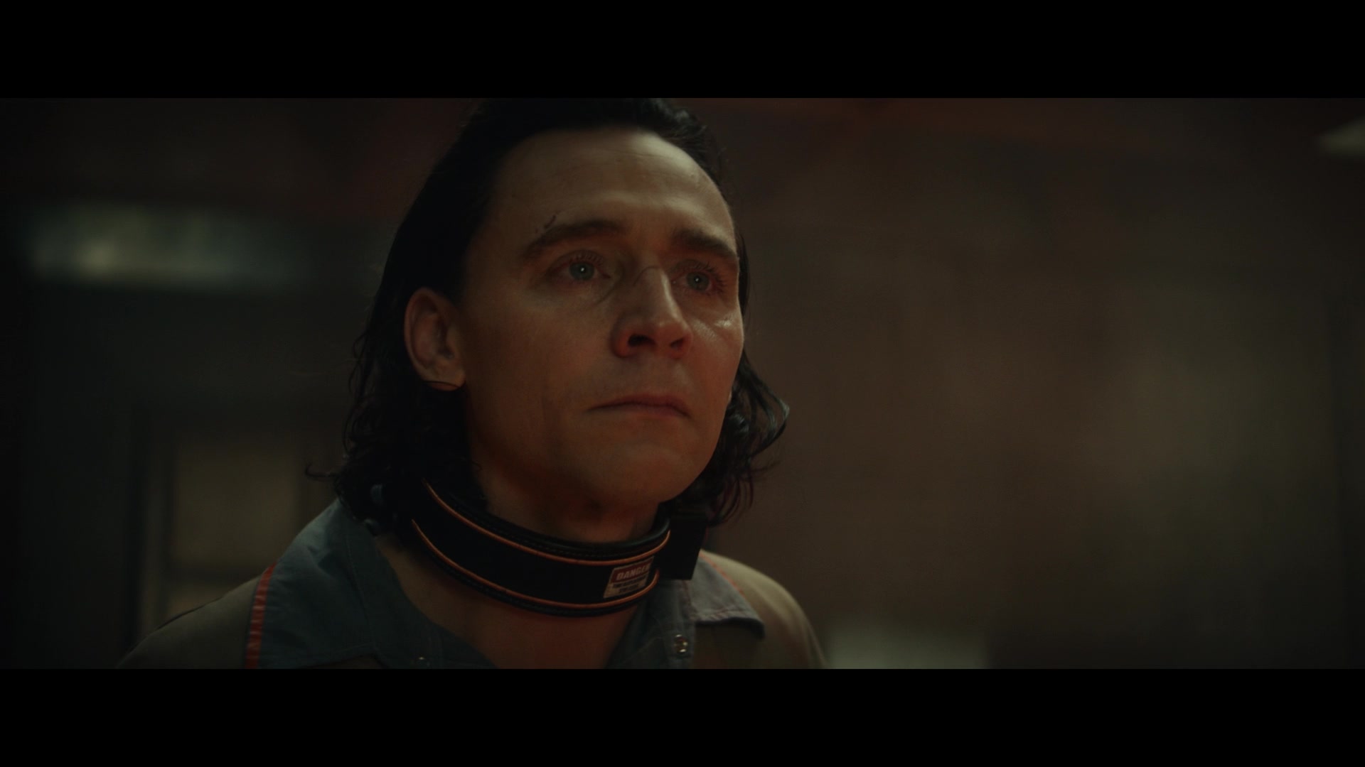 Loki101_1124.jpg