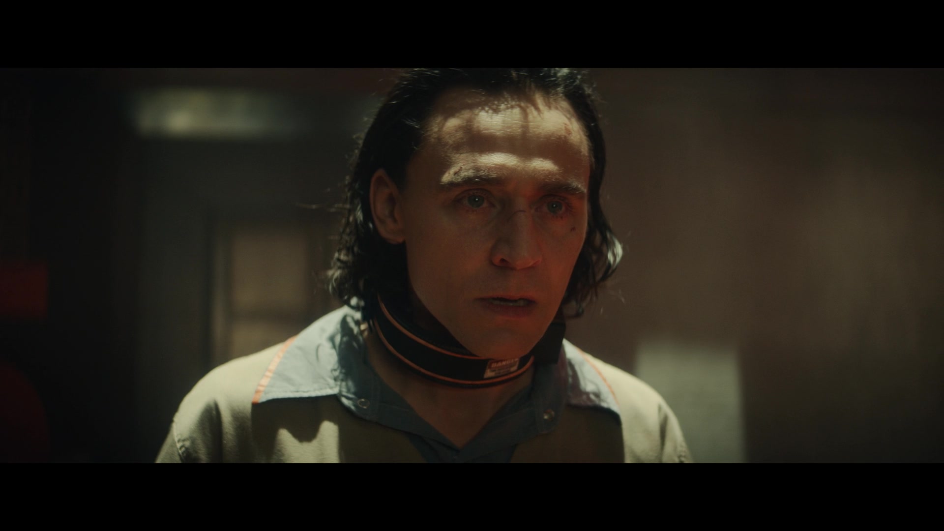 Loki101_1130.jpg