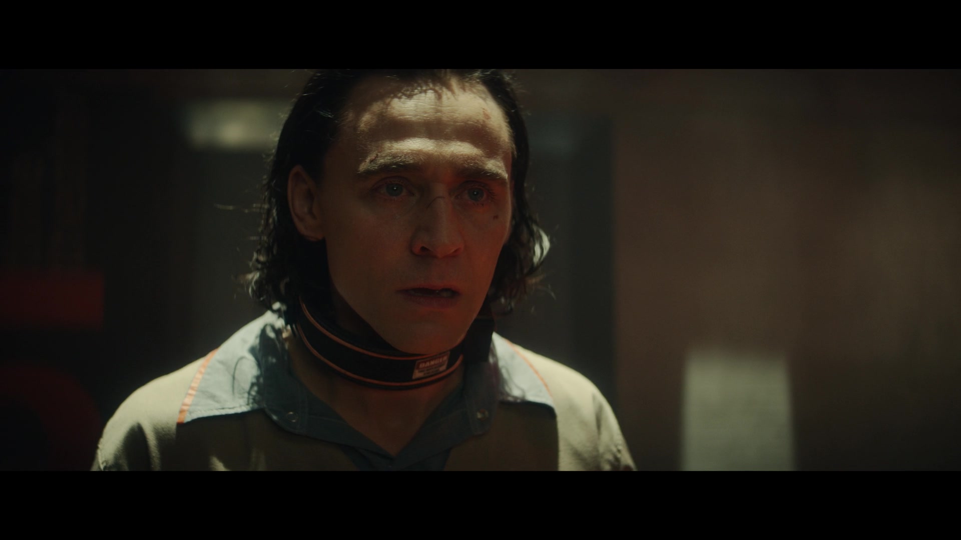 Loki101_1131.jpg