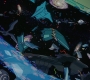 Loki101_0285.jpg