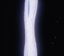 Loki101_0292.jpg