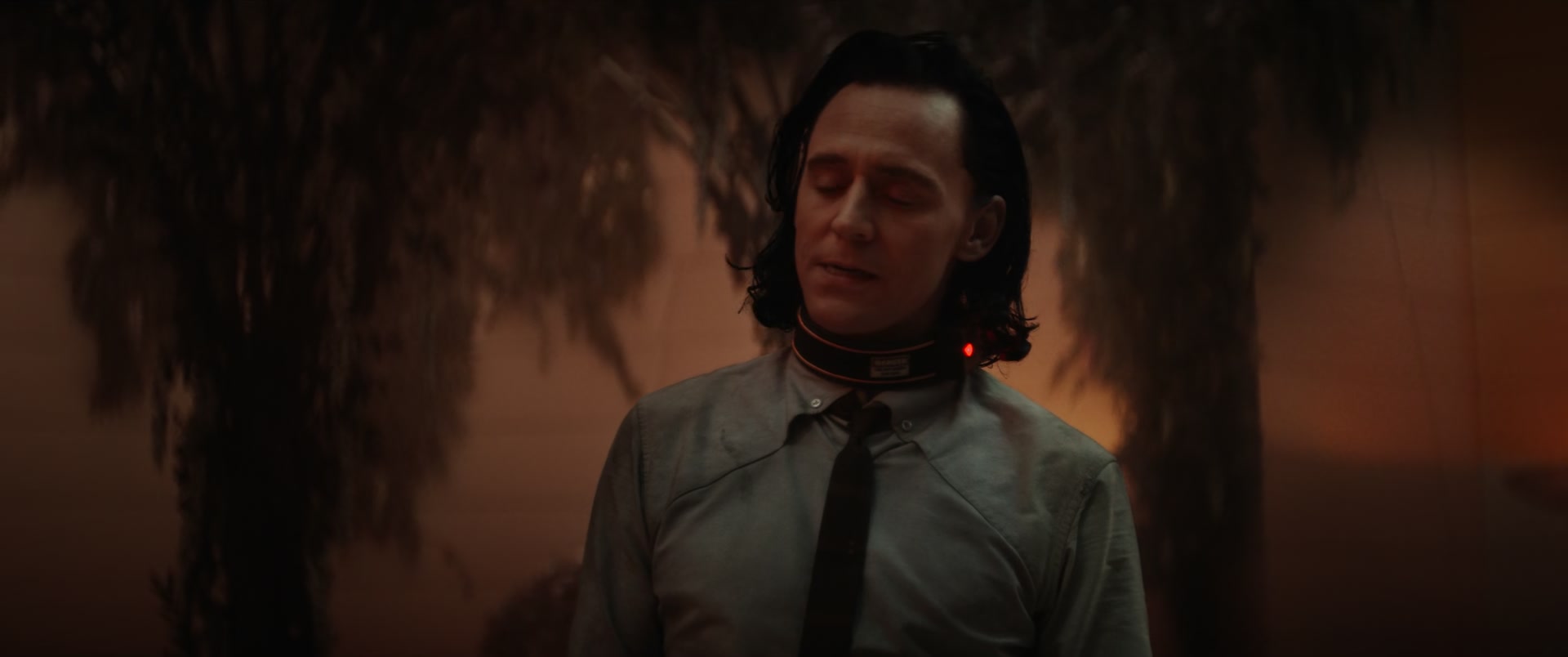 Loki104_0953.jpg