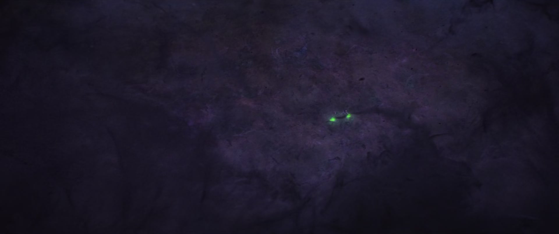 Loki105_1230.jpg