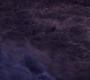 Loki105_1137.jpg