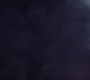 Loki105_1138.jpg