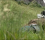 Filename=MoonKnight1_0330.jpg
Filesize=177KiB
Dimensions=1920x808
Date added=Apr 04, 2022 MoonKnight1_0330.jpg