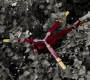 Filename=1x02_209.jpg
Filesize=204KiB
Dimensions=1920x1080
Date added=Oct 12, 2021 1x02_209.jpg