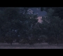 Filename=1x04_353.jpg
Filesize=123KiB
Dimensions=1920x1080
Date added=Oct 12, 2021 1x04_353.jpg